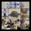 Charlie, élève de CM1I et ses tortues