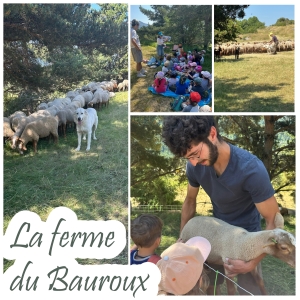 Visite de la ferme du Bauroux