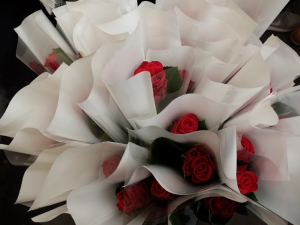 JOURN&Eacute;E des AMOUREUX