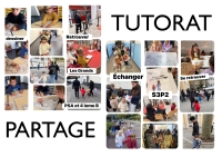 Tutorat