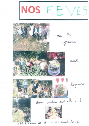 Le jardin des MATERNELLES "C"