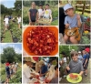 Les CM2I à la ferme bio