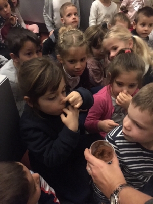 Les matC au mus&eacute;e de la parfumerie